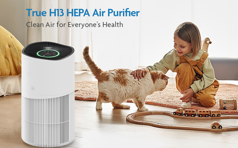 Clearing the Air: Shenzhen Keeping Air Purifiers and the Statistical Efficacy in Alleviating Seasonal Allergies